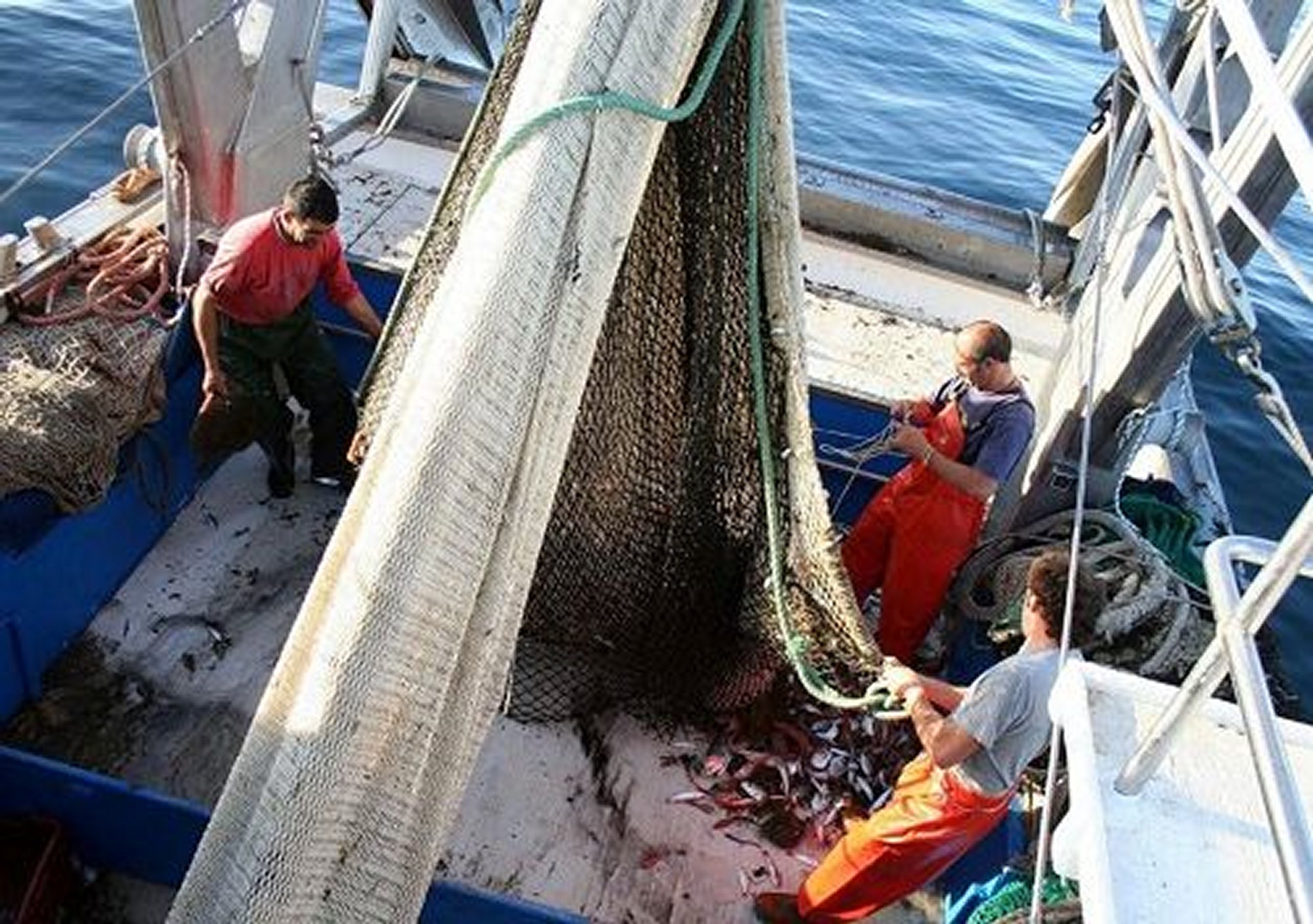 reservar online tours guiados de los Pescadores en Estepona